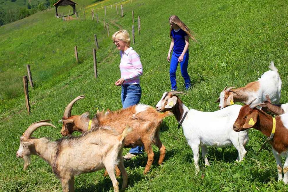 Turistična kmetija apartmaji Laško