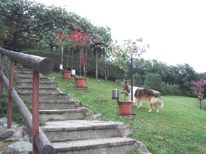 Prenočišča in Kulinarika na goričkem, turistična kmetija ferencovi, cankova, prekmurje 