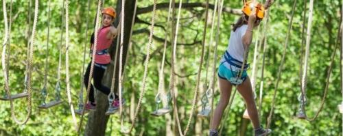 ZIMSKA ŠOLA V NARAVI in POLETNA ŠOLA V NARAVI ponudba Celjska Koča