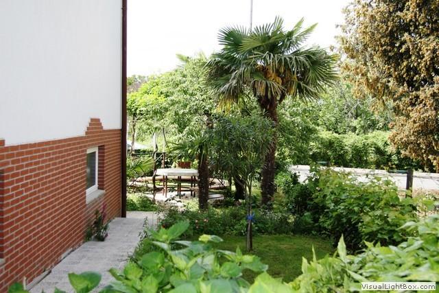 Apartmaji Izola Drago