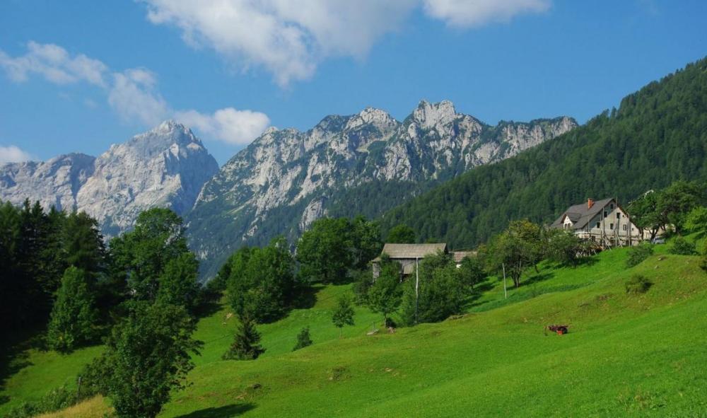 Turistična Kmetija Rogar 