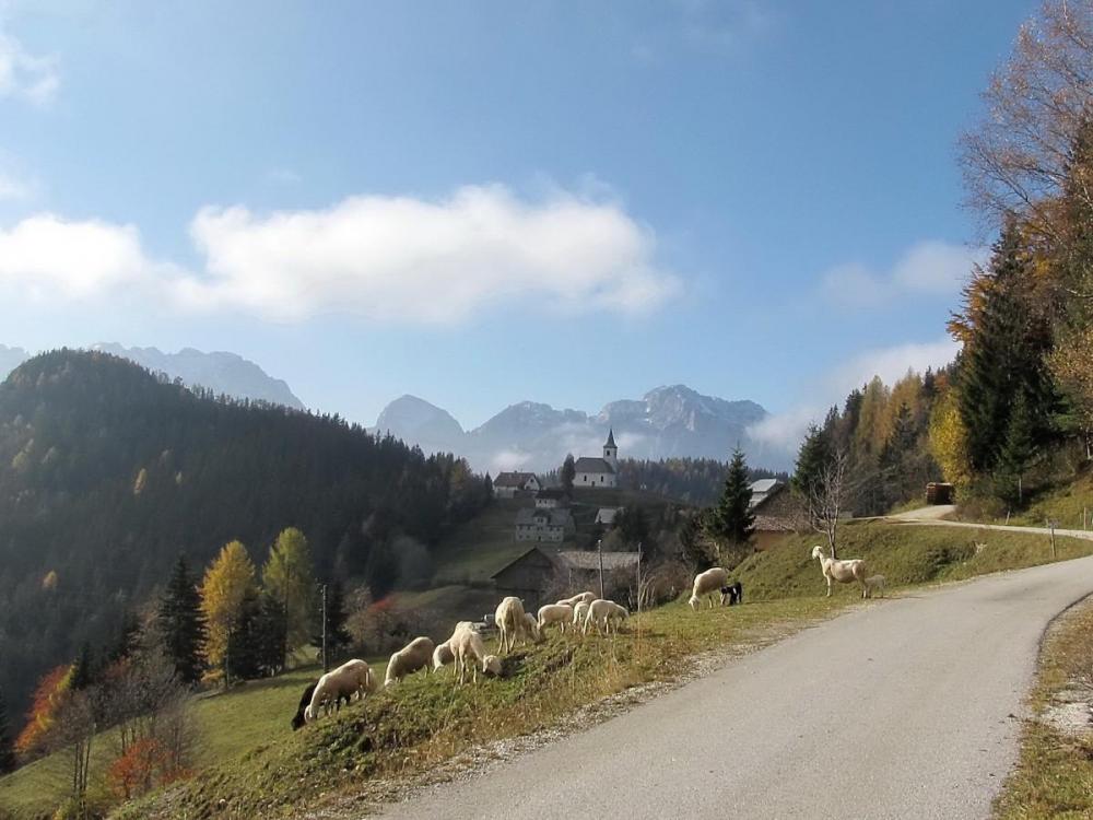 Turistična Kmetija Rogar 