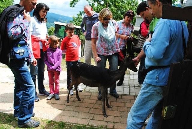 Degustacija divjačinskih suhomesnatih izdelkov 4