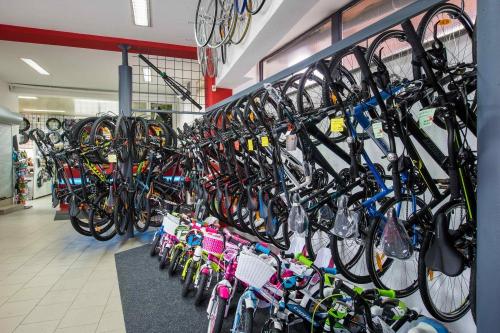 KOLESA, SKUTER, MOPED, SKIRO OPREMA | SERVIS KOLES IN SKUTERJEV, SLOVENSKA BISTRICA