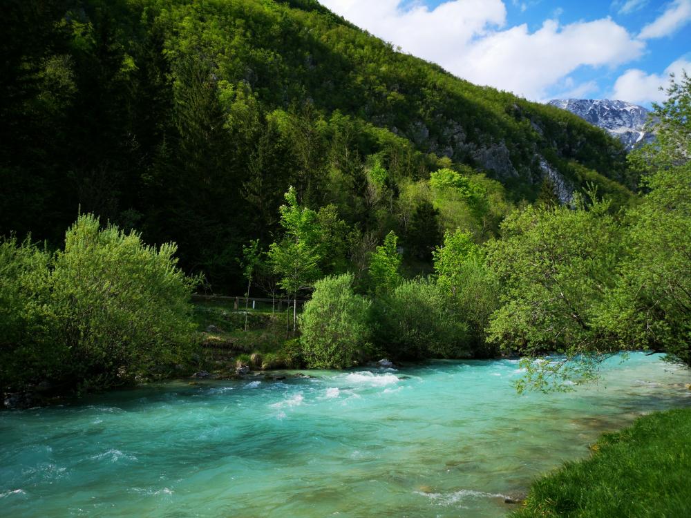 Kamp Soča Turistična Kmetija