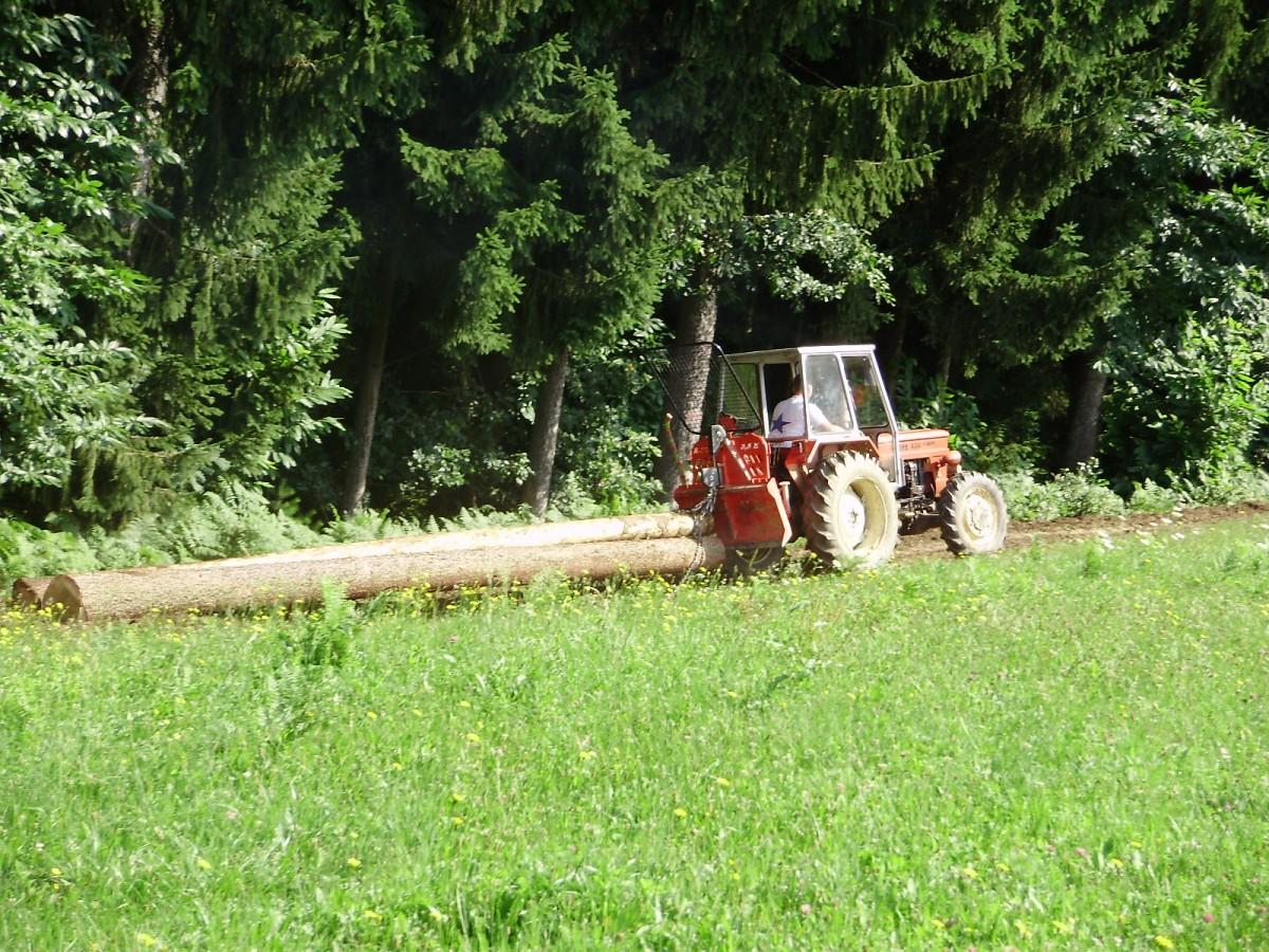 ODKUP LESA, UREJANJE OKOLICE, ZAKLJUČNA GRADBENA DELA, JELKA, SEČNJA IN SPRAVILO LESA, LIBELIČE 4