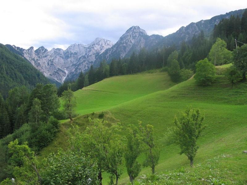 Kmetija Gradišnik Logarska dolina