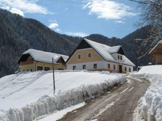 Kmetija Gradišnik Logarska dolina