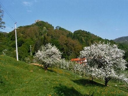 DOMAČA HRANA - JOTA S KLOBASO, OREHOVI ŠTRUKLJI, DOMAČE SADJE - TURISTIČNA KMETIJA IVANKOTOVI 6