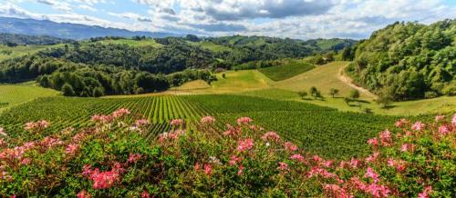 SVEČINA DOMAČE VINO SOBE NA KMETIJI UGODNE NOČITVE TURISTIČNA KMETIJA KMEČKE POJEDINE