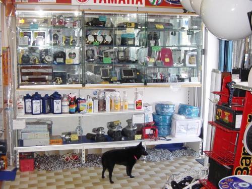 TRGOVINA Z NAVTIČNO OPREMO LUCIJA-PORTOROŽ OBALA