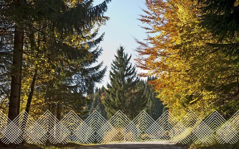 Apartmaji bohinjska bistrica, pristna domača hrana
