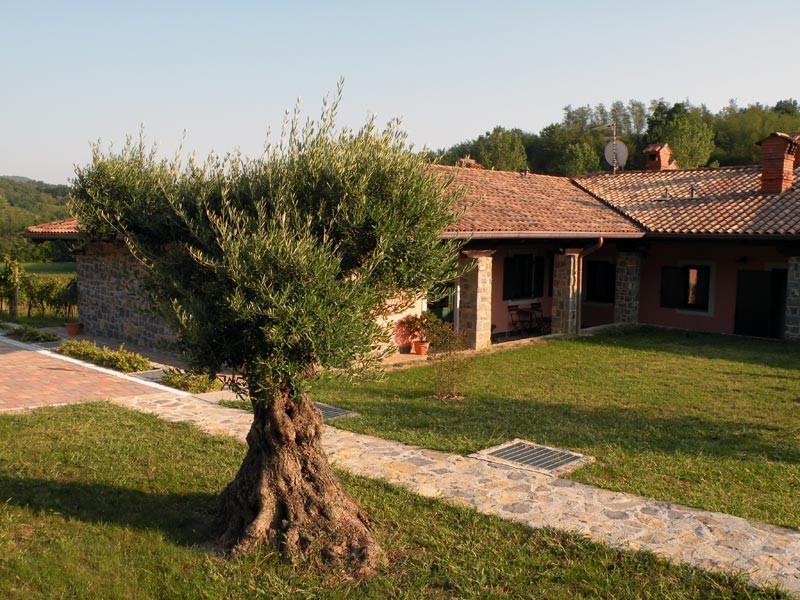 Vinska Klet Goriška Brda, sobe Apartmaji