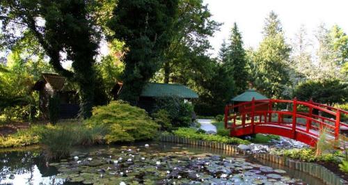 MOZIRSKI GAJ – CVETLIČNI PARK, MUZEJ NA PROSTEM IN PRAVLJIČNO DOŽIVETJE V SRCU MOZIRJA