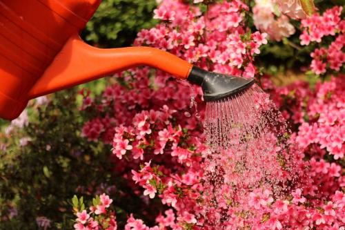 VRTNARSTVO CVETLIČARSTVO VODICE IN LJUBLJANA nudimo tudi dostavo