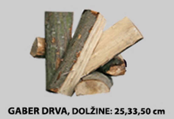 Nakup drv, drva, ugodno ogrevanje, peleti, briketi