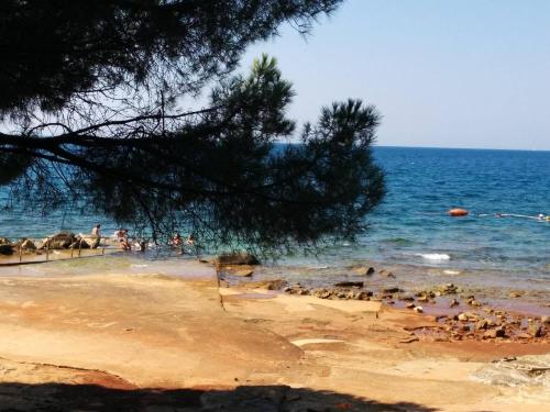 BUNGALOVI NOVIGRAD HOSTEL APARTMAJI PINESTA NOVIGRAD HRVAŠKA