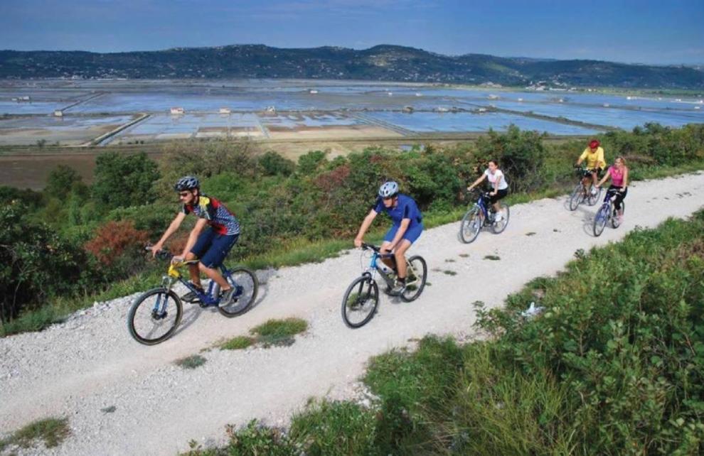 Turistična kmetija, klet klobas, Sečovje
