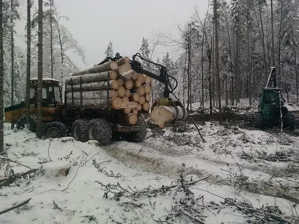 PRODAJA IN ODKUP BUKOVIH DRV BOHINJ 3