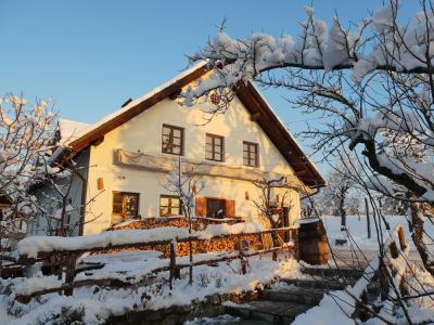 TURISTIČNA KMETIJA VRHNIKA, SOBE Z ZAJTRKOM, DOMAČE JEDI, KRUŠNA PEČ, TURISTIČNA KMETIJA KUREN