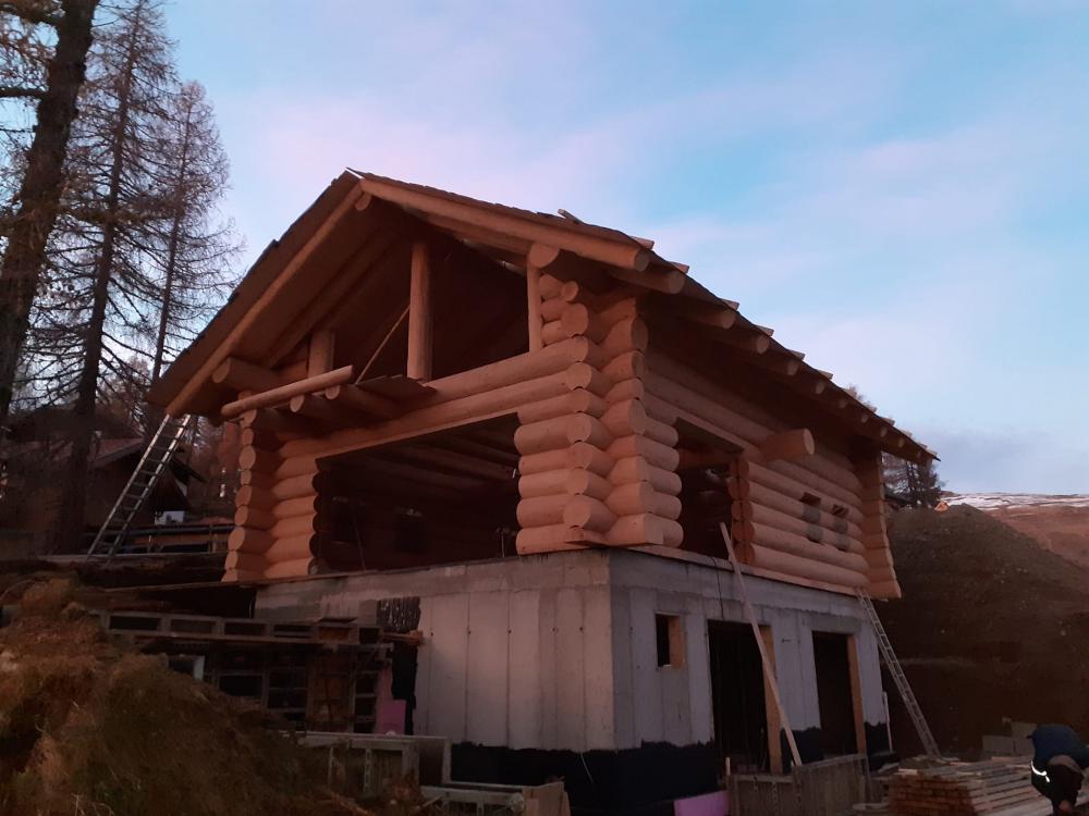 Brunarice iz okroglega lesa