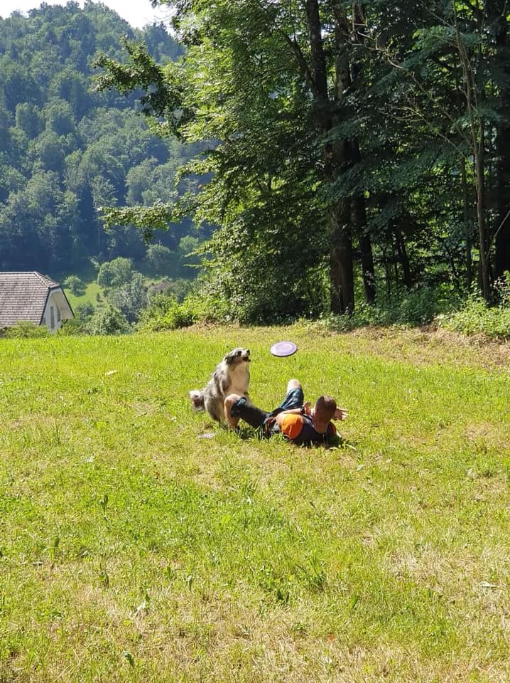 Šola za pse Maribor