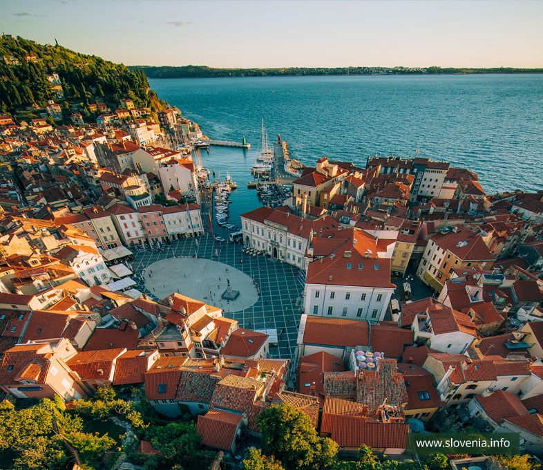 Namestitev v nedotaknjeni naravi, kaki plac, odprta kuhinja, izleti, rekreacija, portorož, obala