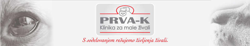 KLINIKA ZA MALE ŽIVALI VIČ3