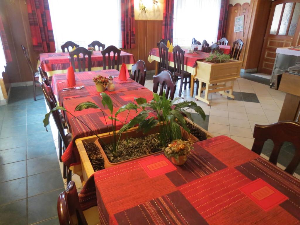 Hotel Divjak