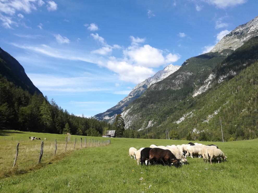 urlaub am bauernhof Trenta Wohnung zimmer Slowenien