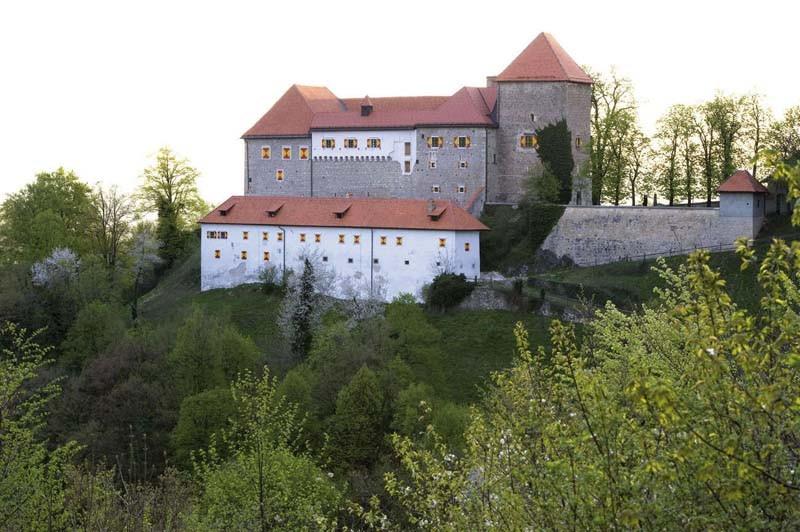 Apartmaji Podčetrtek Ortenia
