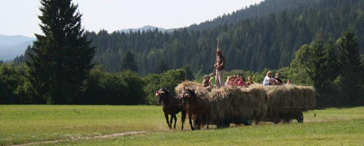Javni zavod Snežnik