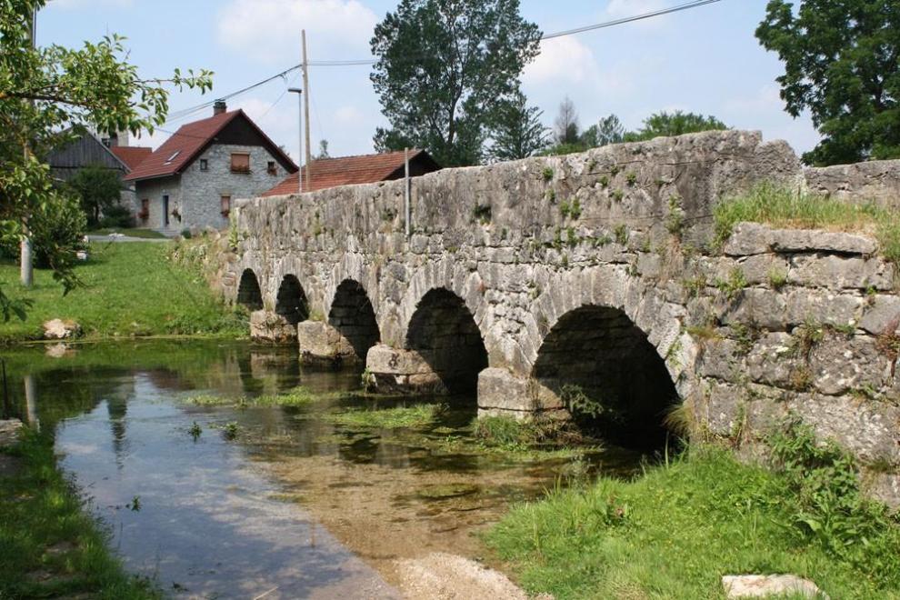 Javni zavod Snežnik