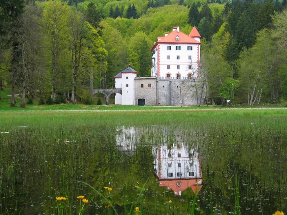 Javni zavod Snežnik
