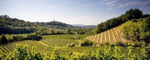 KMETIJA PRINČIČ, KOZANA