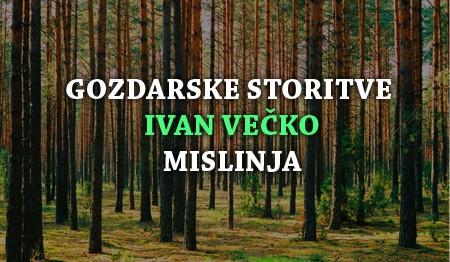 GOZDARSKE STORITVE SLOVENJ GRADEC1