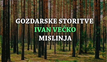 GOZDARSKE STORITVE SLOVENJ GRADEC1