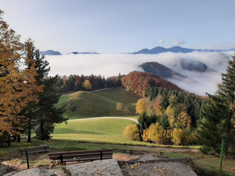 Dom na Joštu, hrana za razgledam
