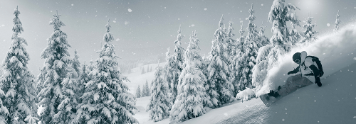 SERVIS KOLES, SERVIS SMUČI IN OPREME ŠIŠKA ŠENTVID