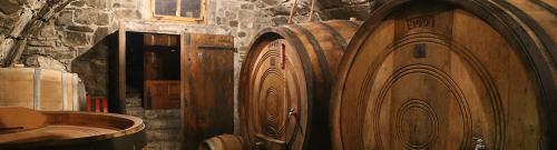 DEGUSTACIJA VIN V VINSKI KLETI VIPAVSKA DOLINA