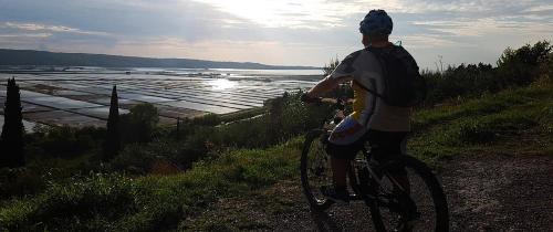 RENT A BIKE PIRAN, IZOLA, OBALA, KOPER, PORTOROŽ, LUMA IZPOSOJA KOLES