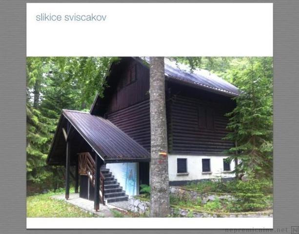 RUJ NEPREMIČNINE,NEPREMIČNINSKA AGENCIJA-SEŽANA 8