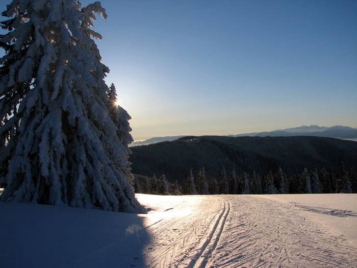 APARTMAJI ROGLA GABER, ROGLA 13