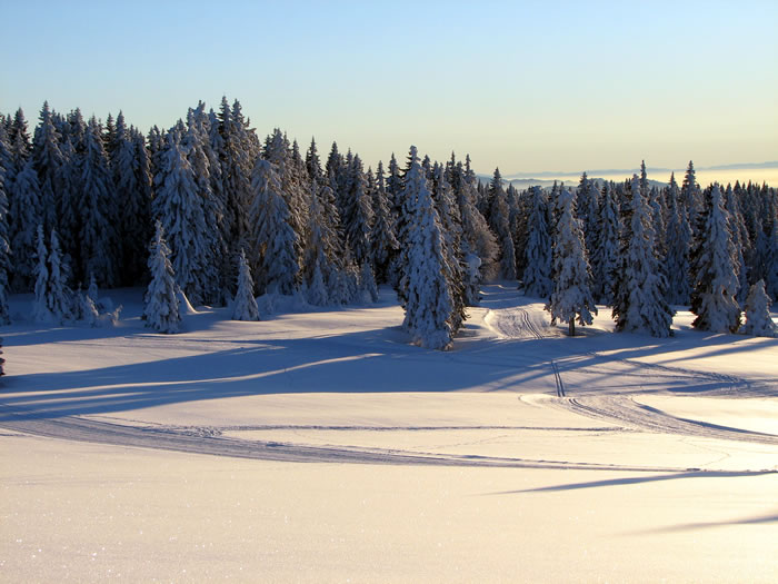 APARTMAJI ROGLA GABER, ROGLA 26