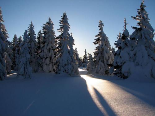 APARTMENTS SKI RESORT ROGLA 