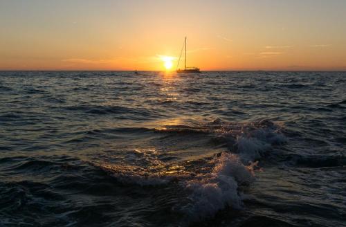 SOBE PORTOROŽ, ROOMS PORTOROSE BRANKO VRABEC