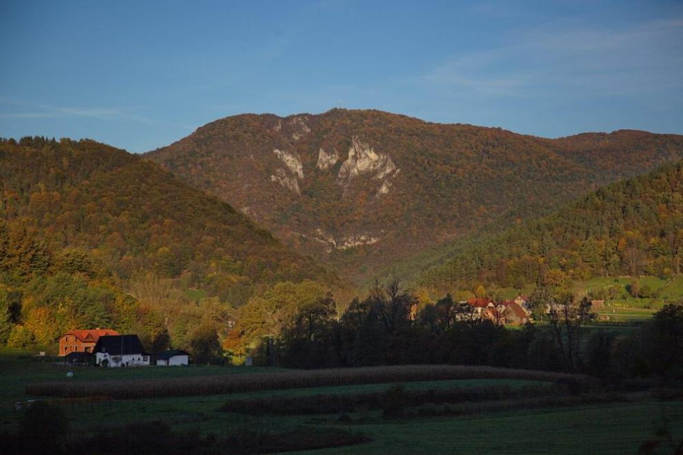 Apartmaji Šuster
