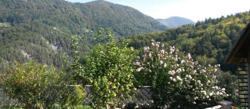 BAJDA IZLETNIŠKA KMETIJA