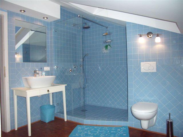 Adaptacija Kopalnic Ljubljana