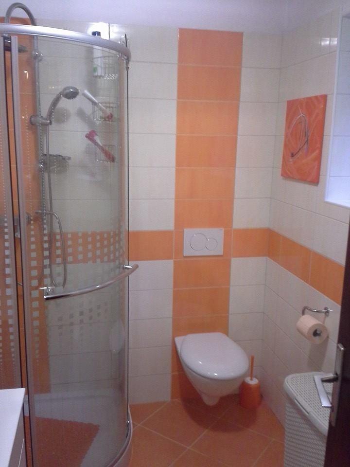 Adaptacija Kopalnic Ljubljana